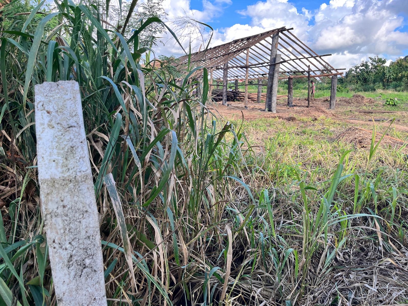 Nunya Village beginning